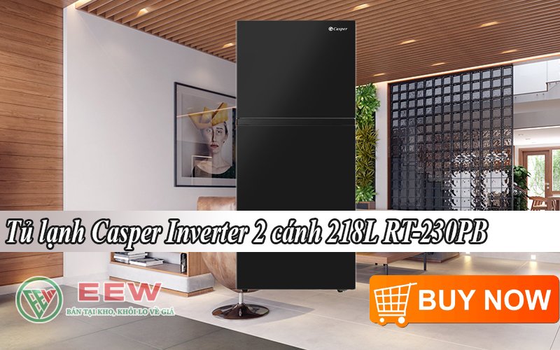 Inverter-2-canh-218l-rt-230pb2