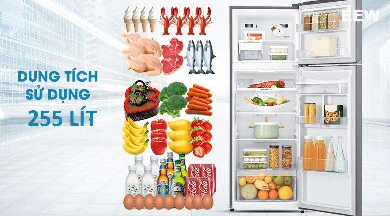 Dung Tích 255 Lít Phù Hợp: Tủ Lạnh Lg Inverter 2 Cánh Gn-d255bl