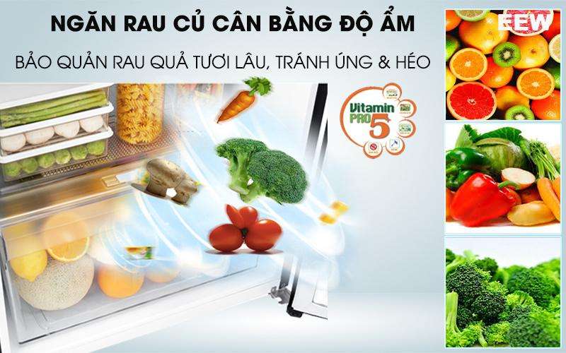 Giữ Rau Củ Tươi Lâu: Tủ Lạnh Lg 187 Lít Smart Inverter Gn-l205wb