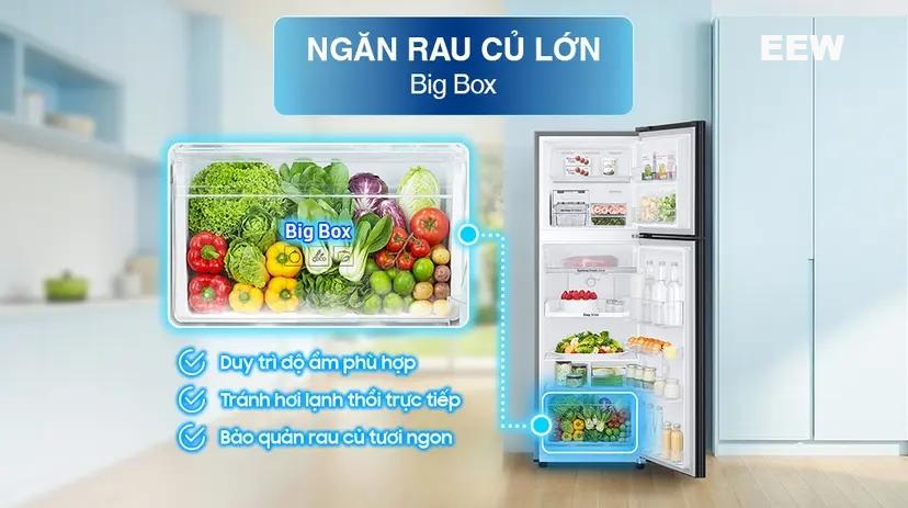 Hình ảnh minh họa: Tủ Lạnh Samsung Inverter 256 Lít Rt25m4032bu/sv