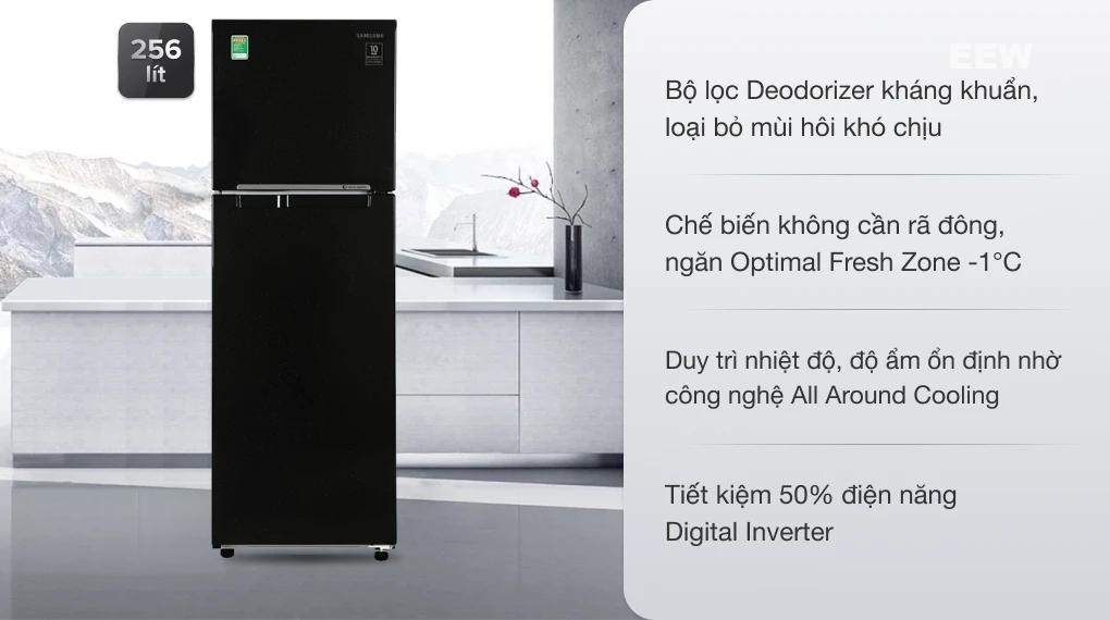 Hình ảnh minh họa: Tủ Lạnh Samsung Inverter 256 Lít Rt25m4032bu/sv