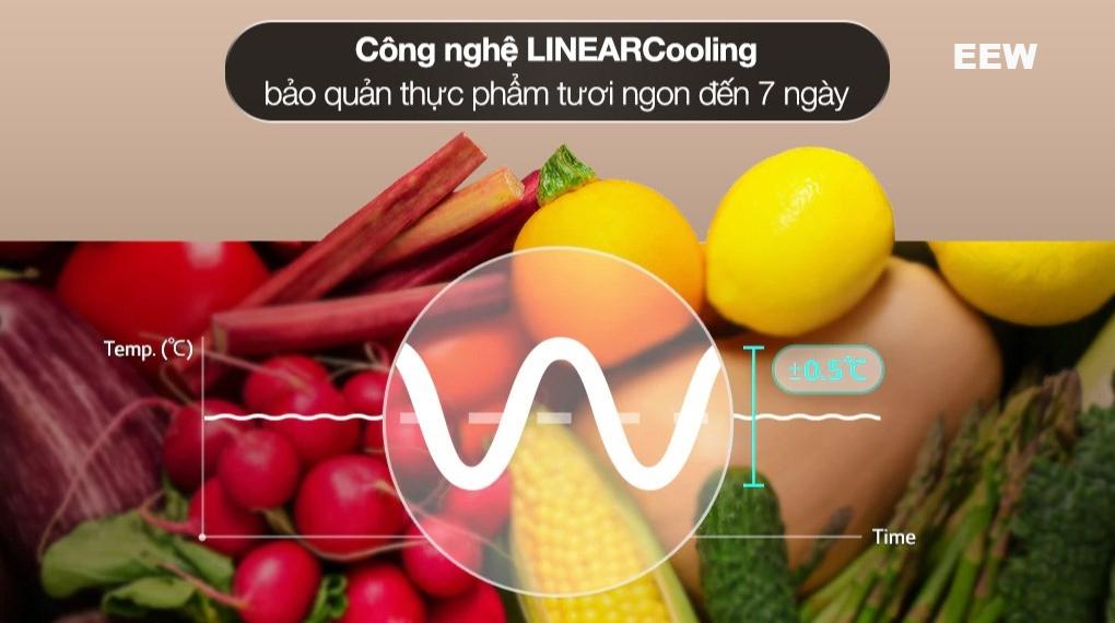 Hình ảnh minh họa: Tủ Lạnh Lg Inverter 266 Lít Ltb26blm