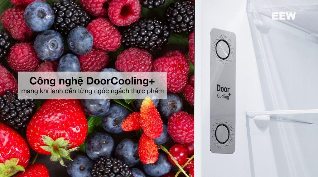 Hình ảnh minh họa: Tủ Lạnh Lg Inverter 314 Lít Ltd31blm